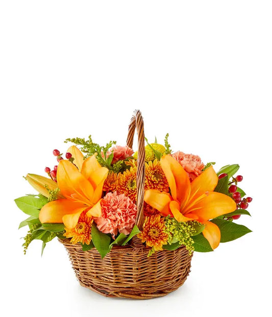 Harvest Basket