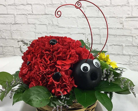 Lady Bug