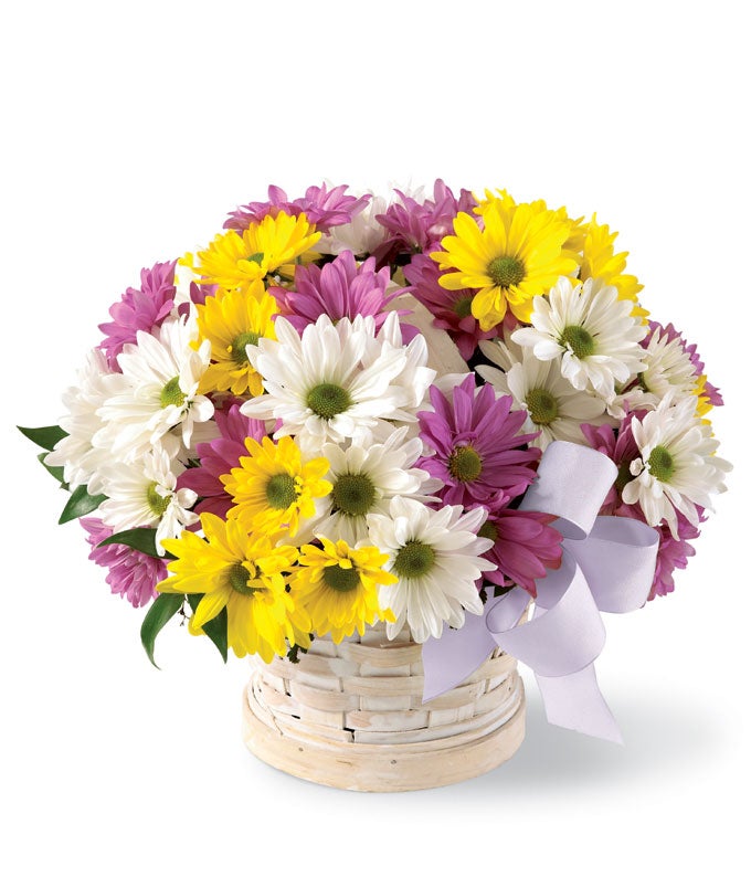Basket full of Daisies