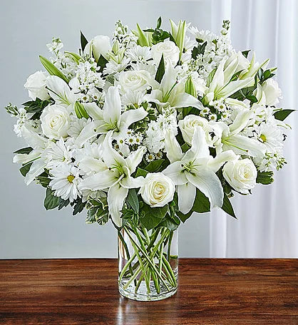 White Sympathy