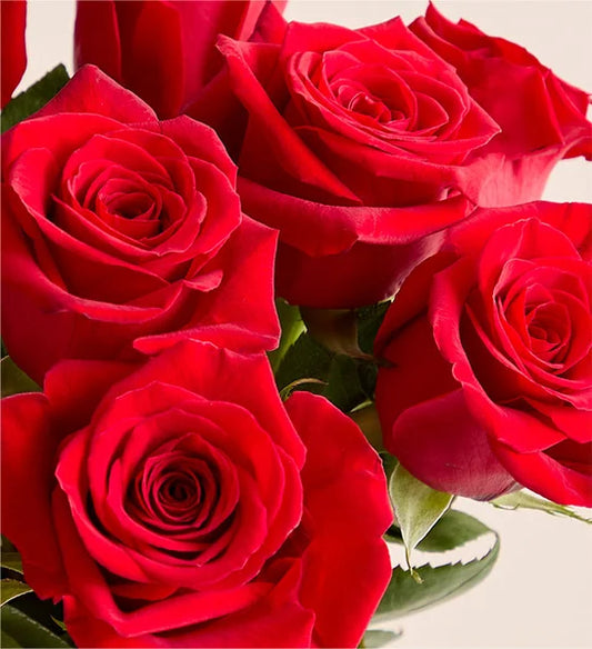Wrapped Rose Bouquet - 1/2 Dozen